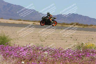 media/Mar-12-2023-SoCal Trackdays (Sun) [[d4c8249724]]/Turn 15 Inside Bloom (130pm)/